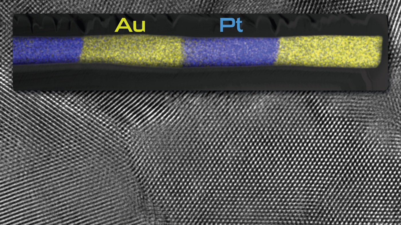 Au/Pt-Materialverteilung in einem gedruckten Draht