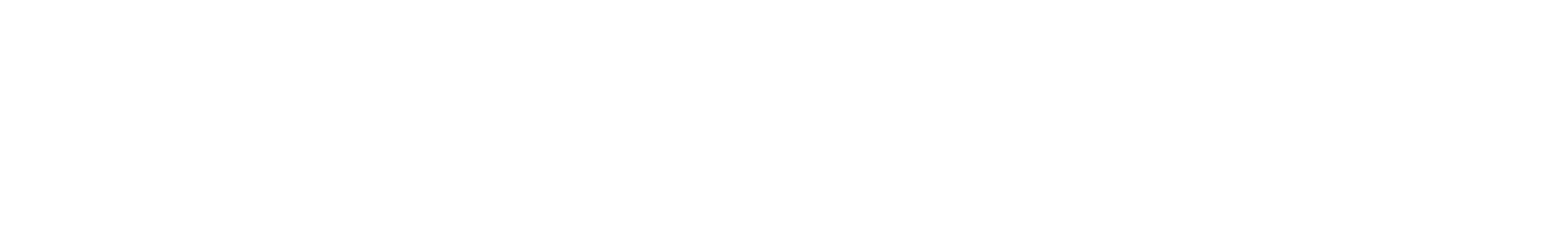 NanoXion — The Next Generation of Nanoscale Metal Interconnects